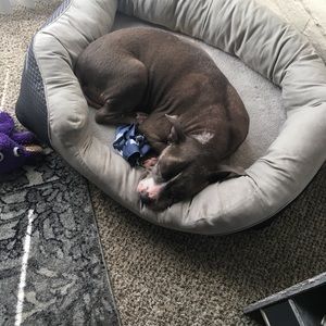 Meet your Posher, Zack